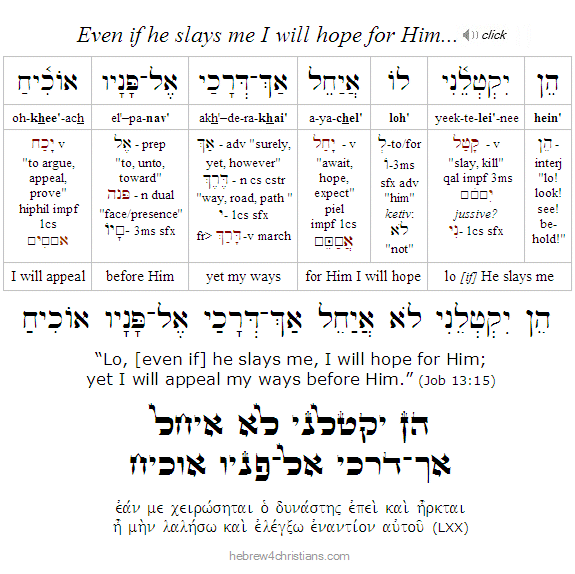 Job 13:15 Hebrew Analysis