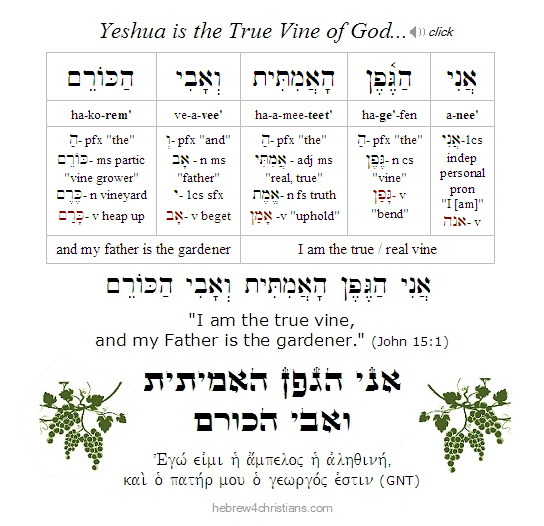John 15:1 Hebrew lesson