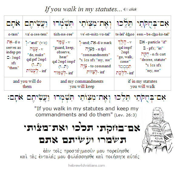 Leviticus 26:2 Hebrew lesson