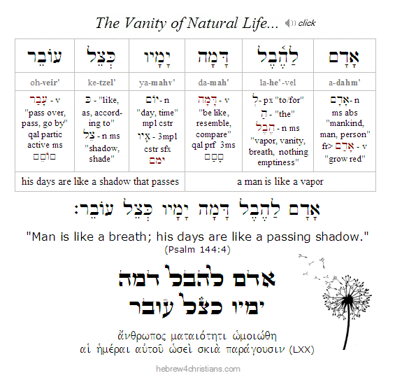 Psalm 144:4 Hebrew Lesson