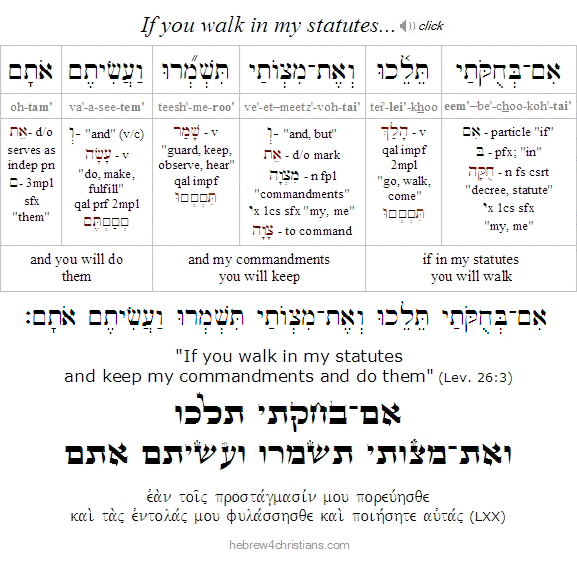 Leviticus 26:3 Hebrew Analysis