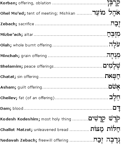 Parashah-Related