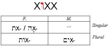 Qal Passive Participle Endings