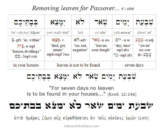 Exod. 12:19a Hebrew lesson