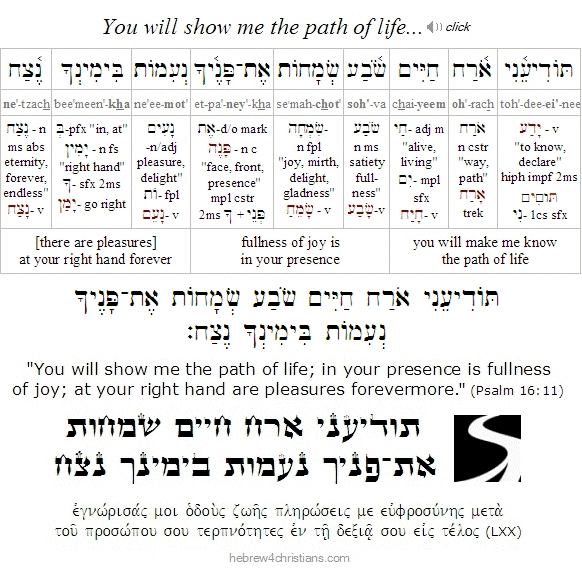 Psalm 16:11 Hebrew lesson