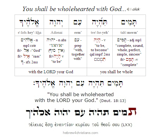 Deut 18:13 Hebrew Lesson