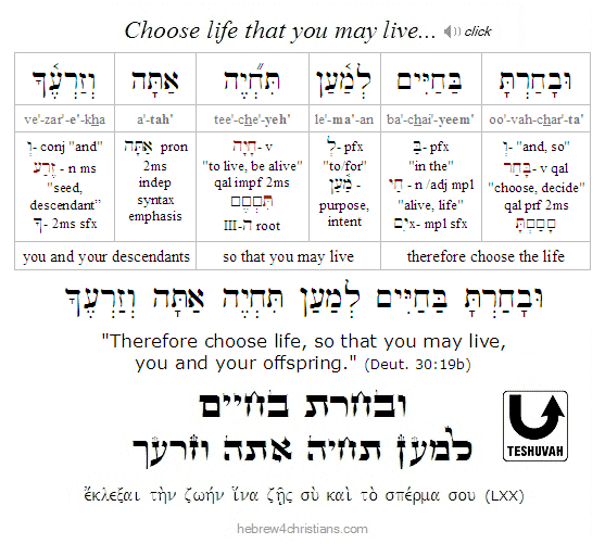 Deut 30:19 Hebrew Lesson