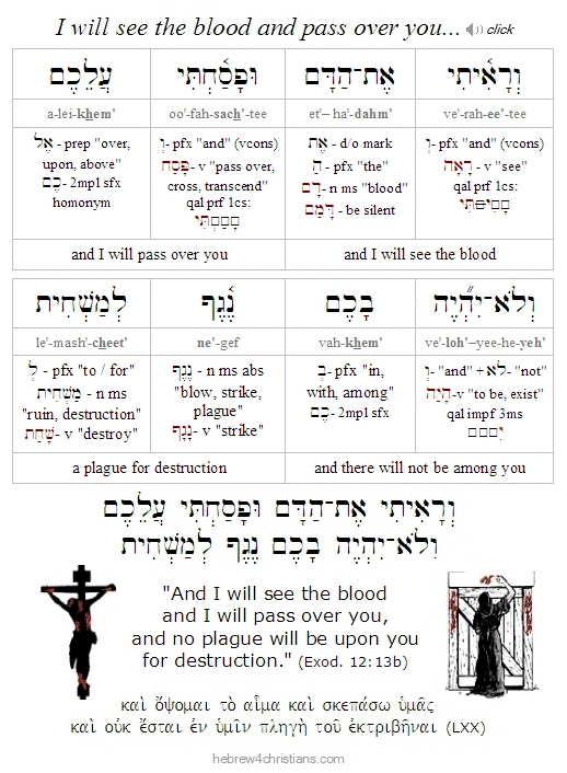 Exodus 12:13b Hebrew Lesson