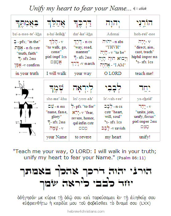 Psalm 86:11 (BHS) Hebrew Analysis